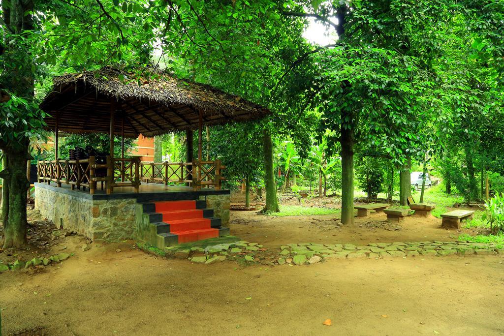 Malakkarethu House Leilighet Aranmula Eksteriør bilde